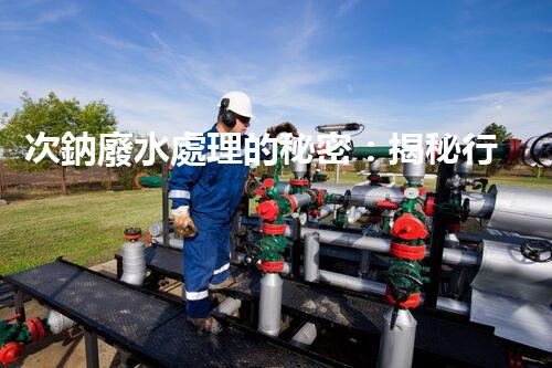 次鈉廢水處理的秘密：揭秘行業(yè)不為人知的技術(shù)？